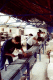 AQU_09_t.gif