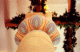 Piz_2_t.gif