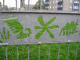 IMG_3836_t.gif