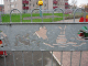 IMG_3860_t.gif