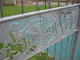 IMG_3873_t.gif