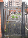 IMG_3877_t.gif