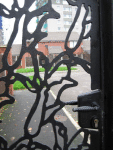 IMG_3887.v0_t.gif