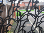 IMG_3888_t.gif