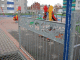 IMG_3848_t.gif