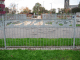 IMG_3857_t.gif