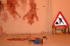 DSC_0344_t.gif