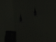 IMG_6852_t.gif