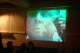 EPSN4743_t.gif
