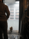 IMG_5829.v0_t.gif