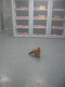 IMG_5832.v0_t.gif