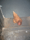 IMG_5834.v0_t.gif