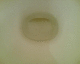 060209.toilet_t.gif