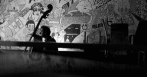 L1060433-2_t.gif