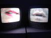 IMG_0855_t.gif