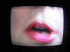 IMG_0862_t.gif