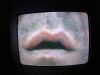 IMG_0865_t.gif