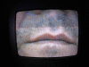 IMG_0866_t.gif