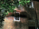 IMG_7631_t.gif