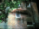 IMG_7636_t.gif
