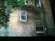 IMG_7640_t.gif