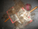 IMG_4741_t.gif