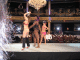IMG_5006_t.gif