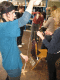 IMG_4716.v0_t.gif